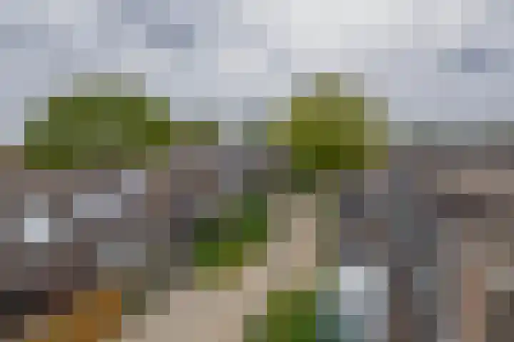 Ringspoor 80 Capelle aan den IJssel thumbnail 30