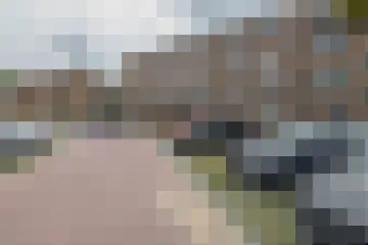 Ringspoor 80 Capelle aan den IJssel thumbnail 34