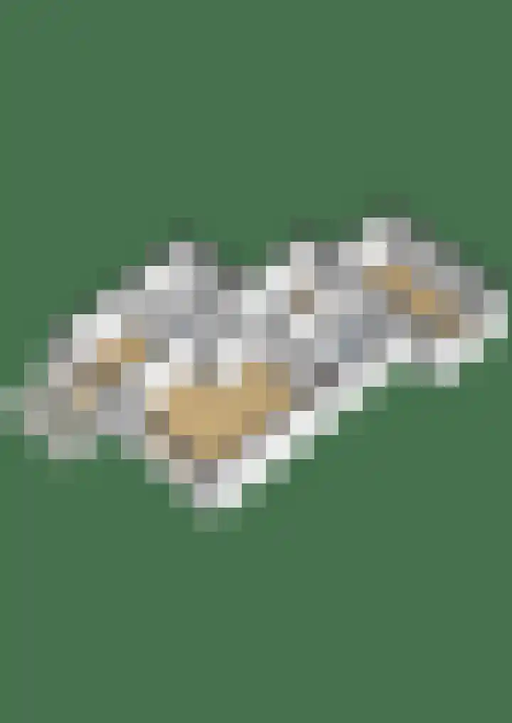 Ringspoor 80 Capelle aan den IJssel thumbnail 38