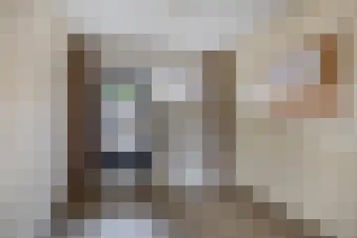 Ringspoor 80 Capelle aan den IJssel thumbnail 6