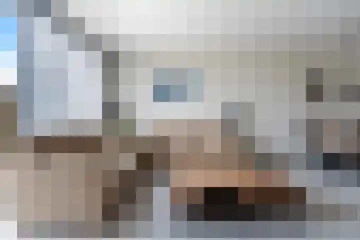 Ringspoor 89 Capelle aan den IJssel thumbnail 14