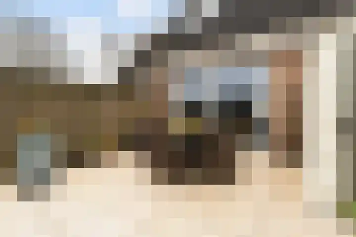 Ringspoor 89 Capelle aan den IJssel thumbnail 15