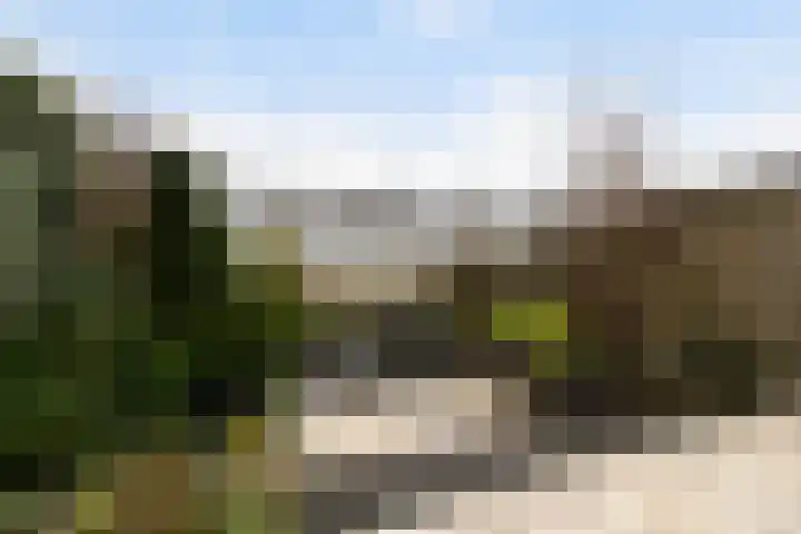 Ringspoor 89 Capelle aan den IJssel thumbnail 16