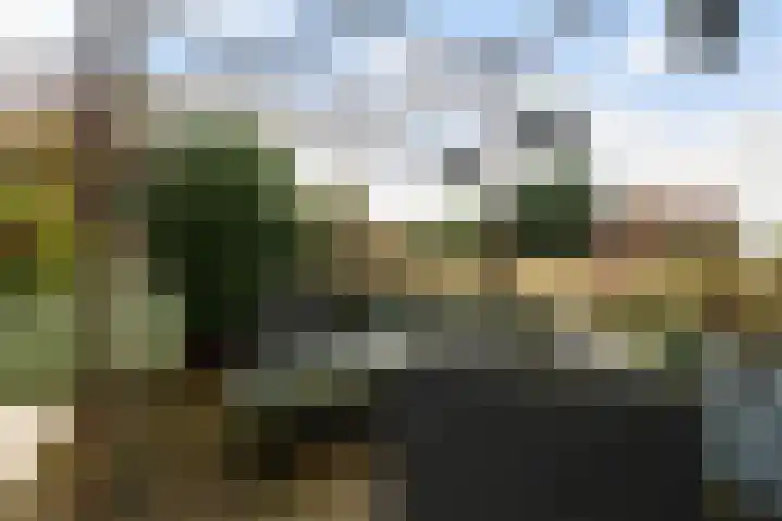Ringspoor 89 Capelle aan den IJssel thumbnail 17