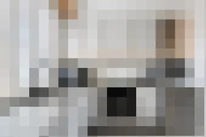 Ringspoor 89 Capelle aan den IJssel thumbnail 22