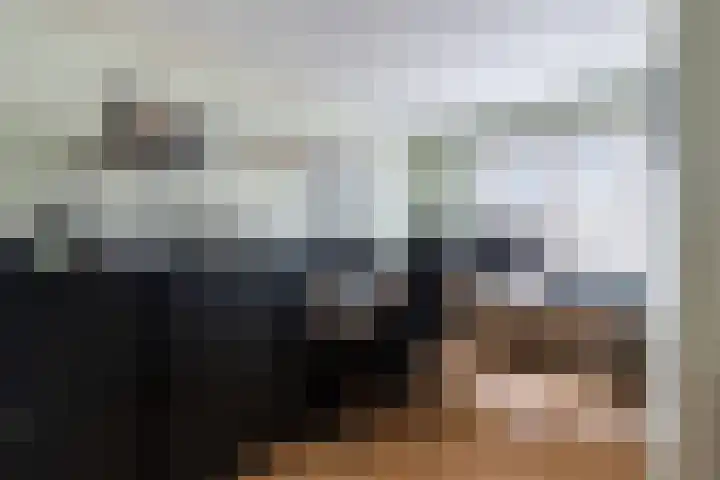 Ringspoor 89 Capelle aan den IJssel thumbnail 27