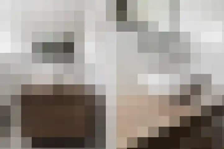 Ringspoor 89 Capelle aan den IJssel thumbnail 35