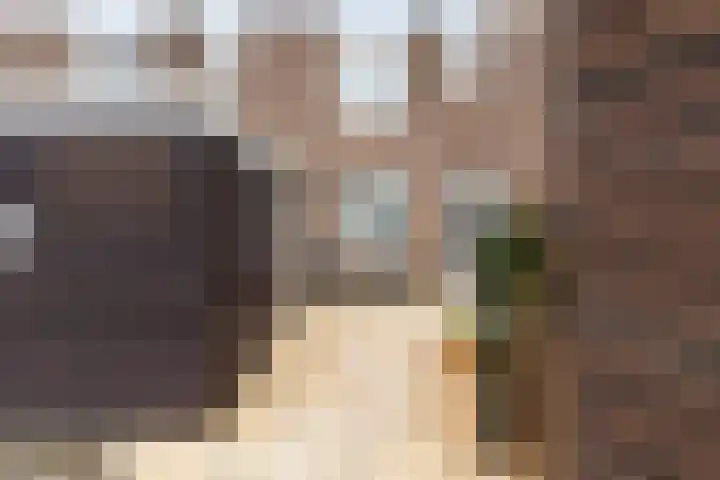 Ringspoor 89 Capelle aan den IJssel thumbnail 39