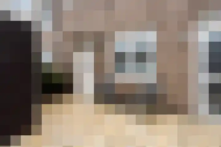 Ringspoor 89 Capelle aan den IJssel thumbnail 5