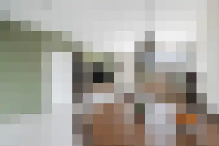 Ringspoor 89 Capelle aan den IJssel thumbnail 8