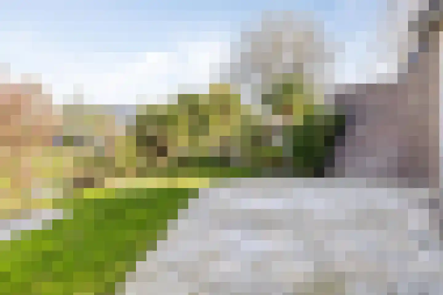 Ringspoor 91 Capelle aan den IJssel thumbnail 18