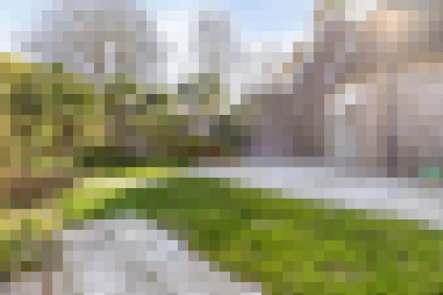 Ringspoor 91 Capelle aan den IJssel thumbnail 19
