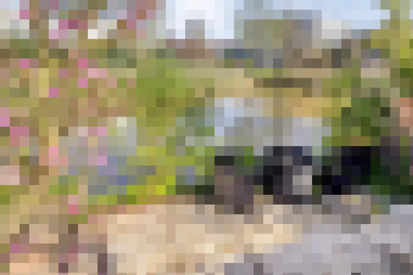 Ringspoor 91 Capelle aan den IJssel thumbnail 22