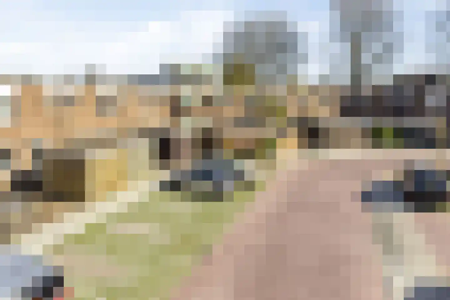 Ringspoor 91 Capelle aan den IJssel thumbnail 23