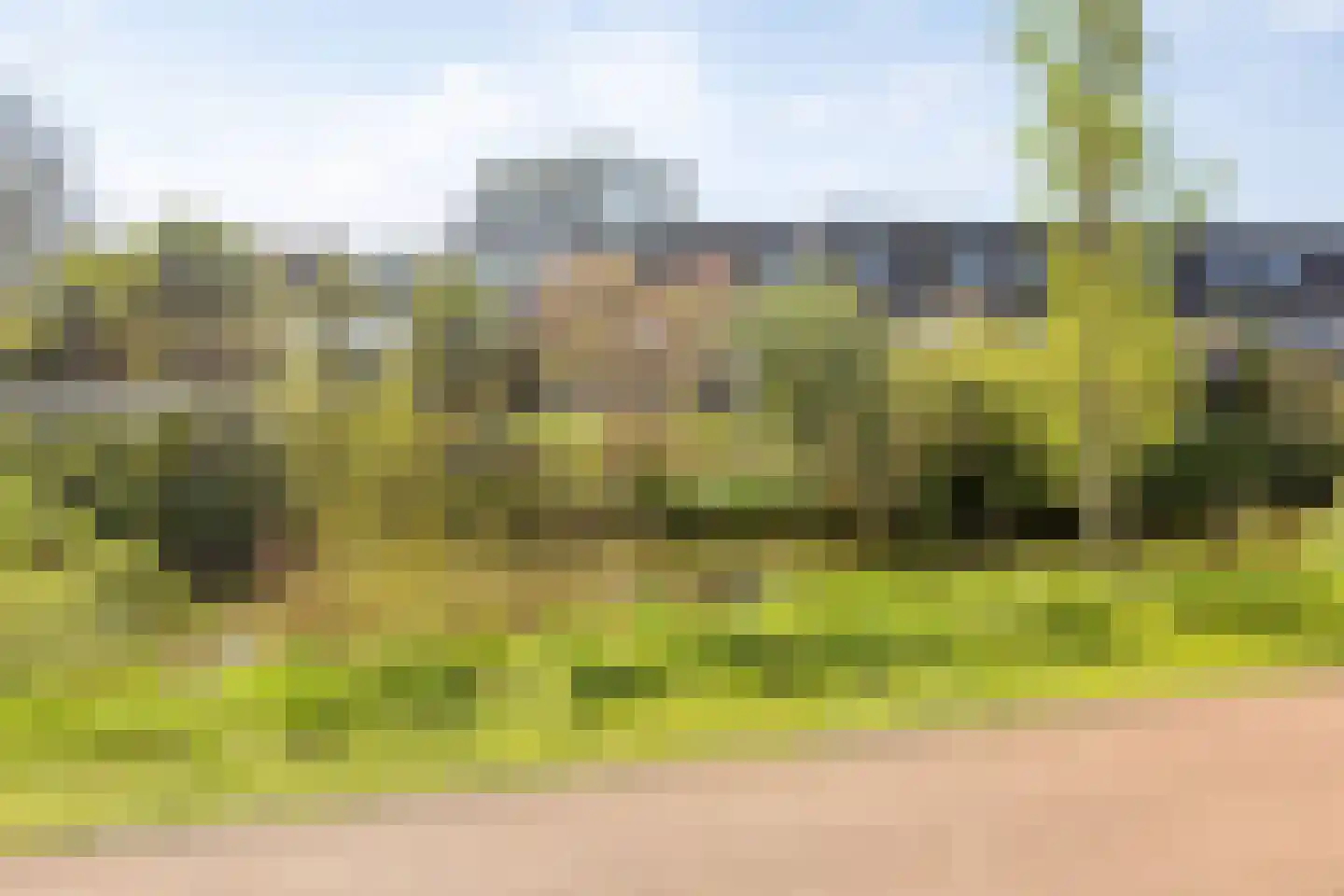 Ringspoor 91 Capelle aan den IJssel thumbnail 24