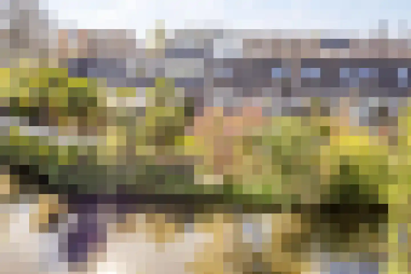 Ringspoor 91 Capelle aan den IJssel thumbnail 25