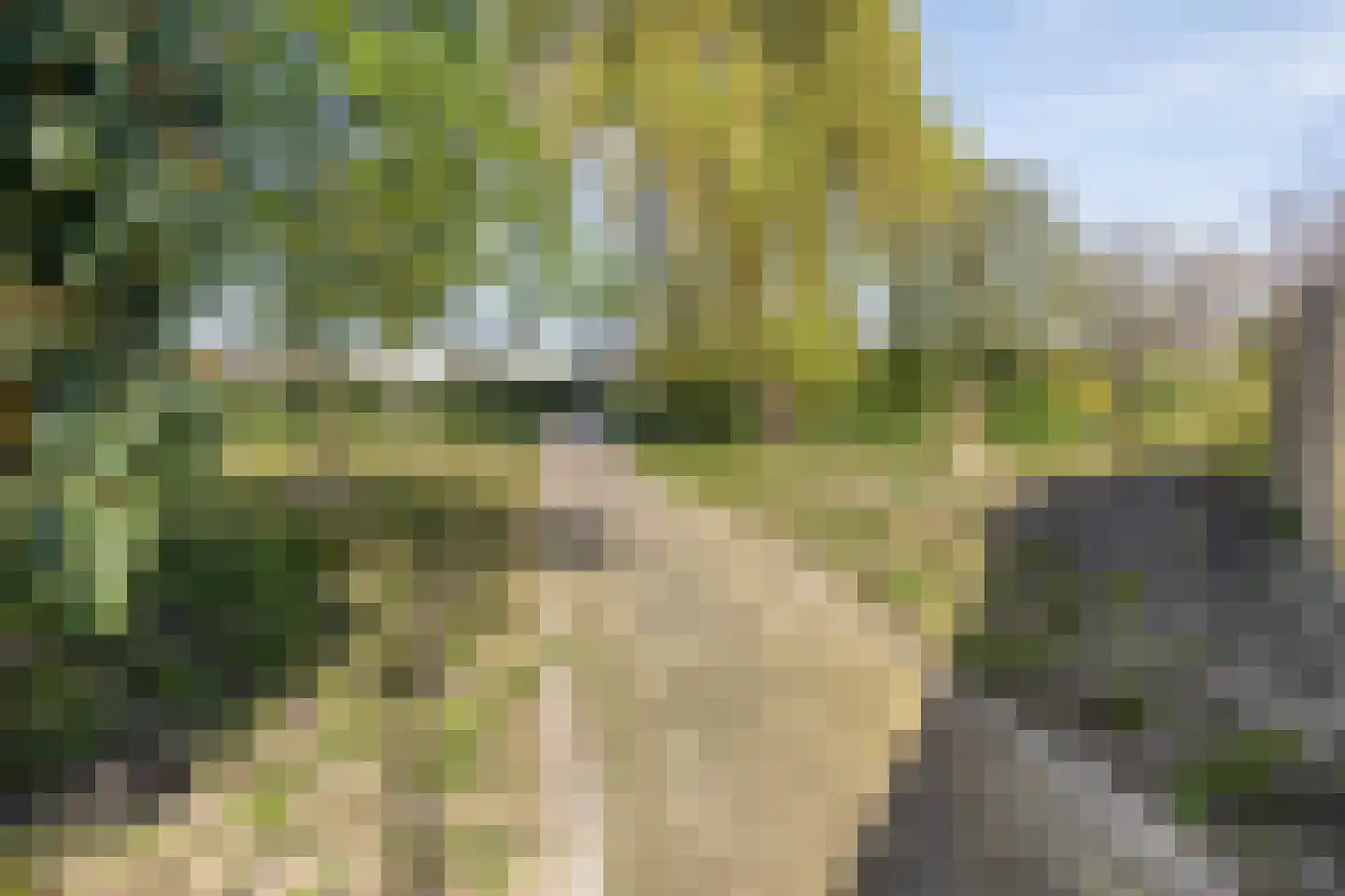 Ringspoor 91 Capelle aan den IJssel thumbnail 26