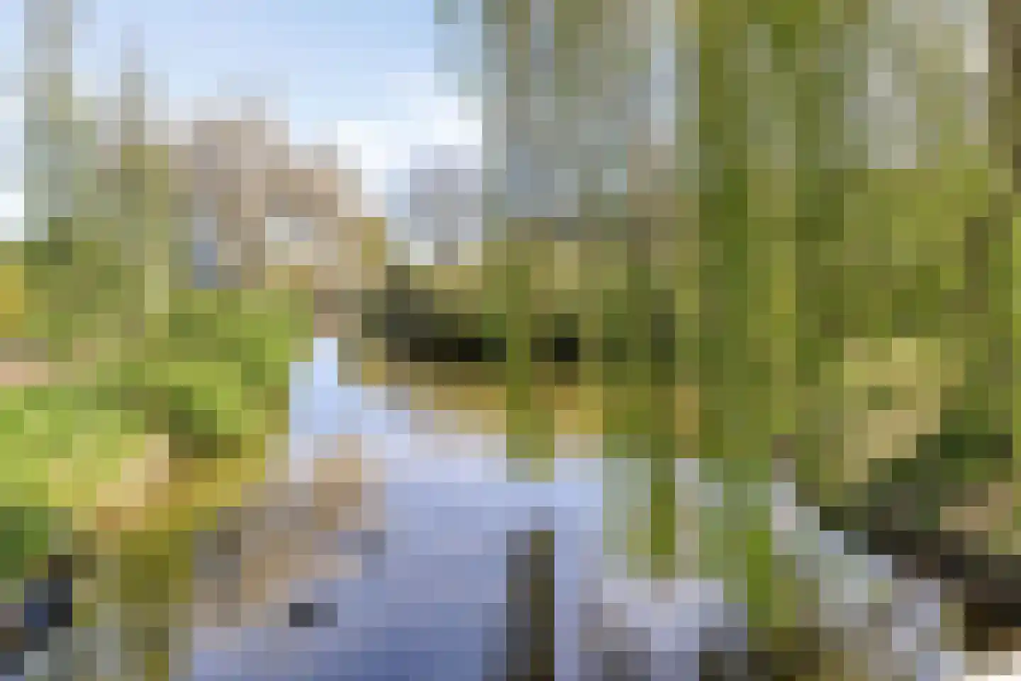 Ringspoor 91 Capelle aan den IJssel thumbnail 27