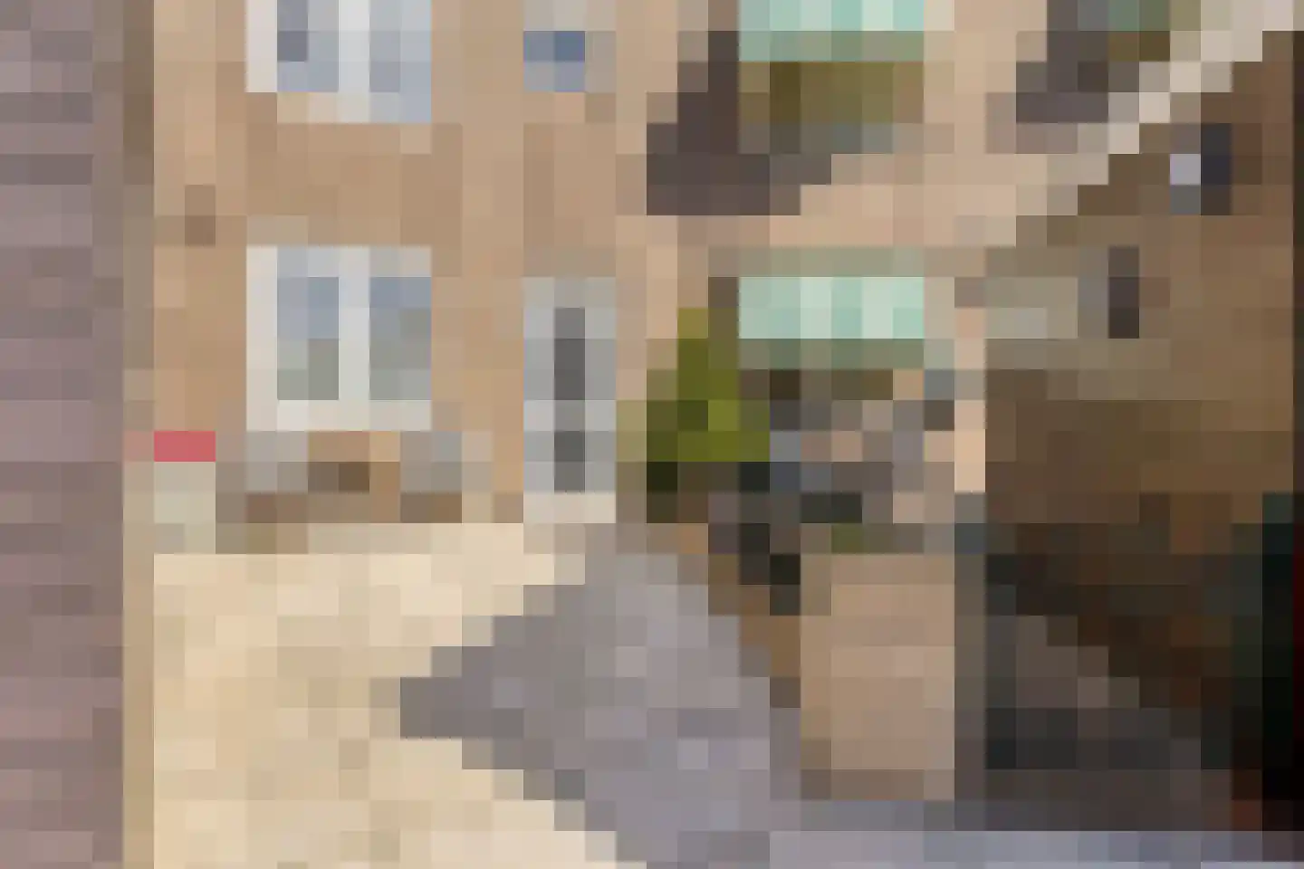 Ringspoor 91 Capelle aan den IJssel thumbnail 4