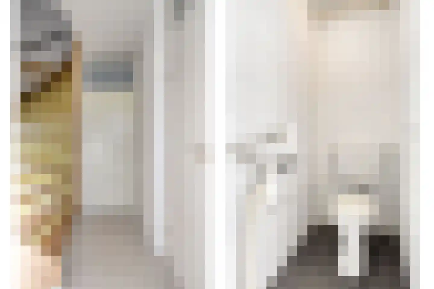 Ringspoor 91 Capelle aan den IJssel thumbnail 5