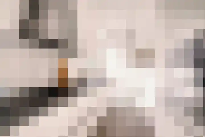 Ringstraat 31 Stavoren thumbnail 13