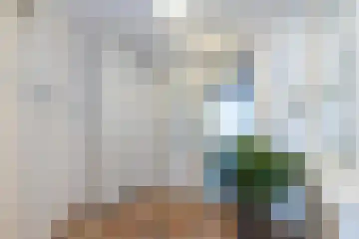 Ringvaart 141 Schiedam thumbnail 10