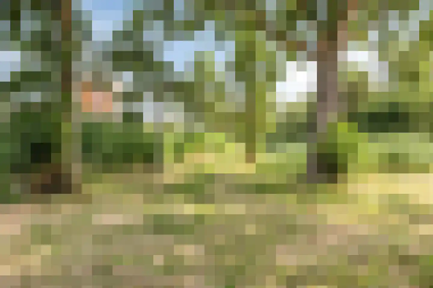 Ringvaart 15 Schiedam thumbnail 34