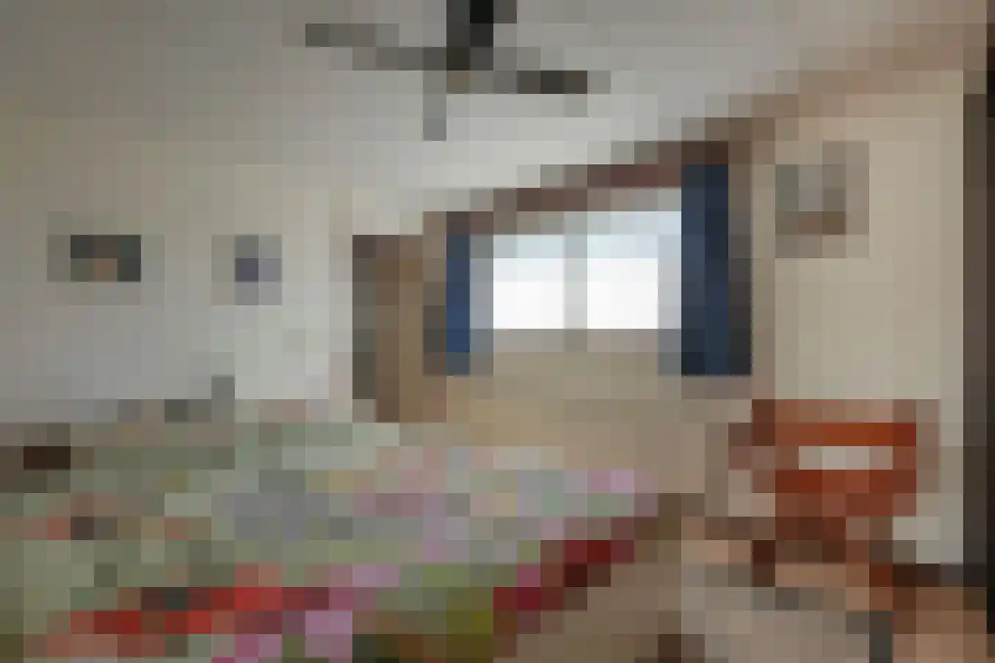 Ringvaart 17 Beverwijk thumbnail 28