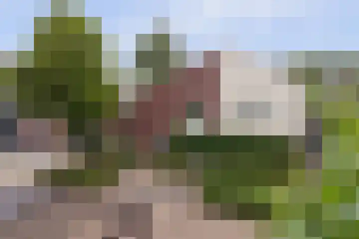 Ringvaart 26 Beuningen Gld thumbnail 39