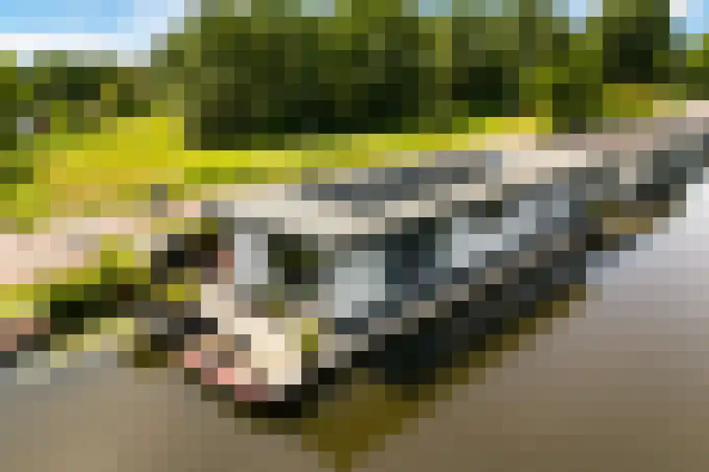 Ringvaart-Nieuwemeerdijk 166 Badhoevedorp thumbnail 4