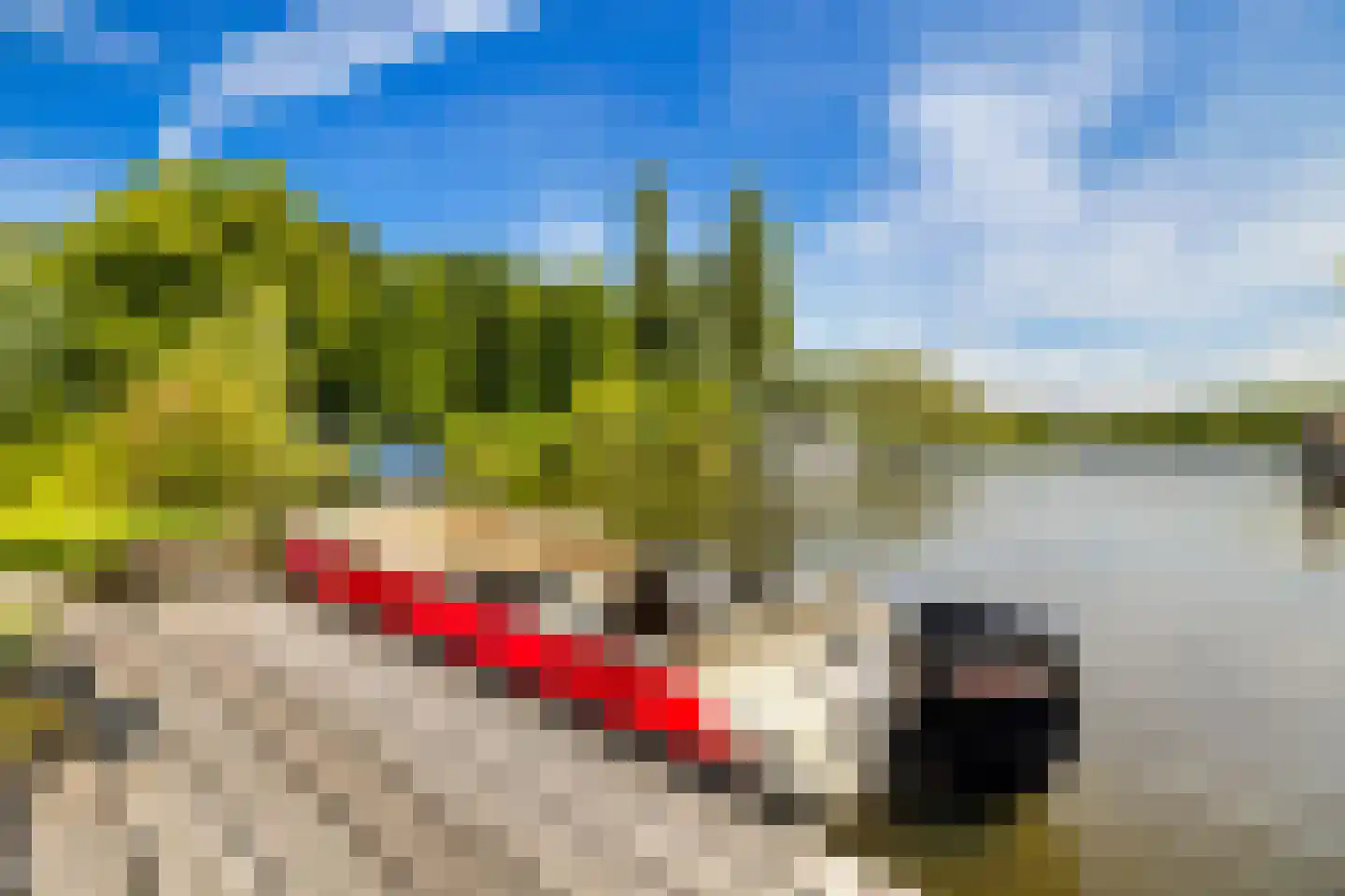 Ringvaart-Nieuwemeerdijk 166 Badhoevedorp thumbnail 64