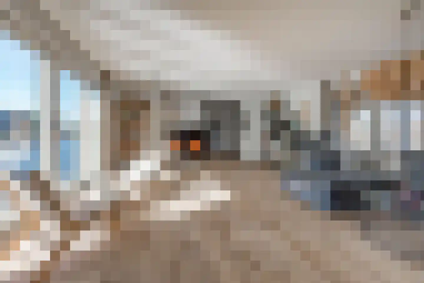 Ringvaartdijk 54 Amsterdam thumbnail 7