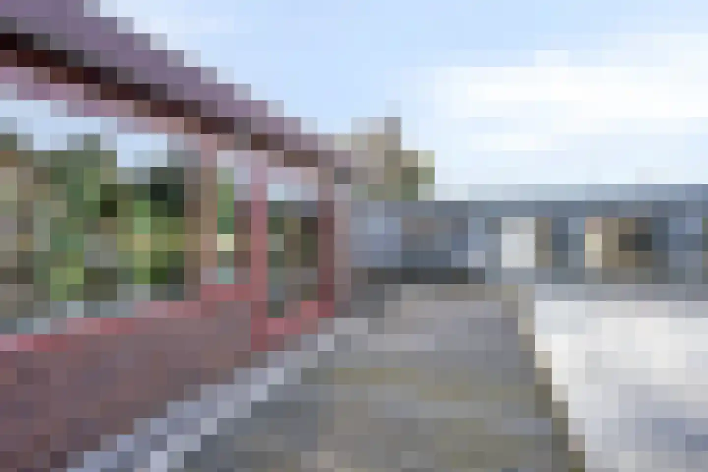 Ringvaartdijk 92 Amsterdam thumbnail 14