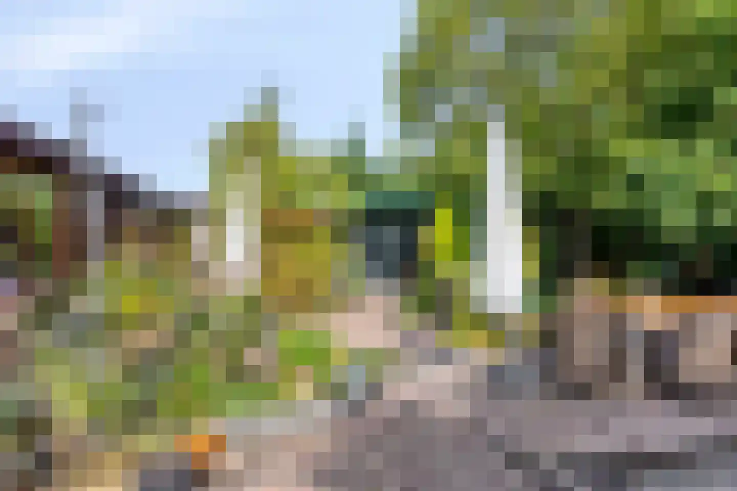 Ringvaartdijk 92 Amsterdam thumbnail 29
