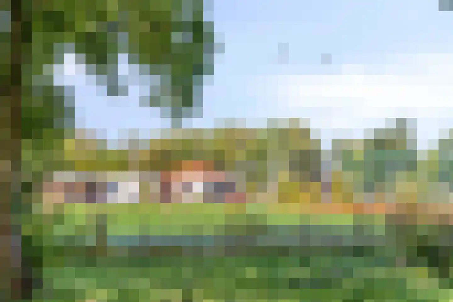 Ringvaartdijk 92 Amsterdam thumbnail 38