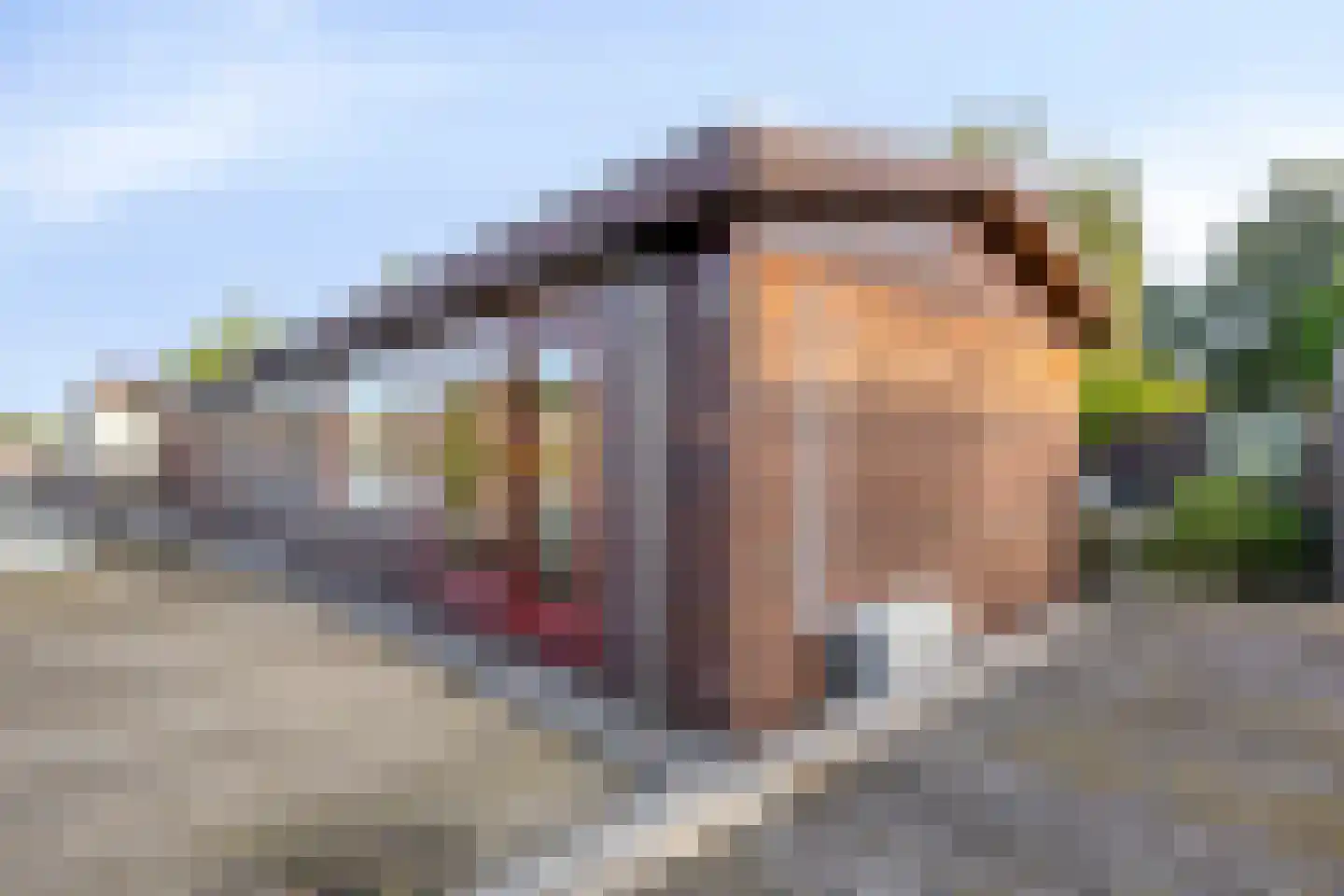 Ringvaartdijk 92 Amsterdam thumbnail 4