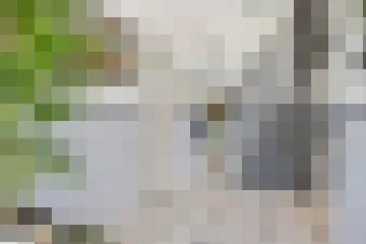Ringvaartlaan 1 Nieuwerkerk aan den IJssel thumbnail 14