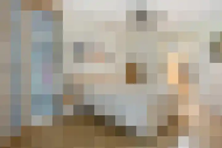 Ringvaartlaan 1 Nieuwerkerk aan den IJssel thumbnail 15