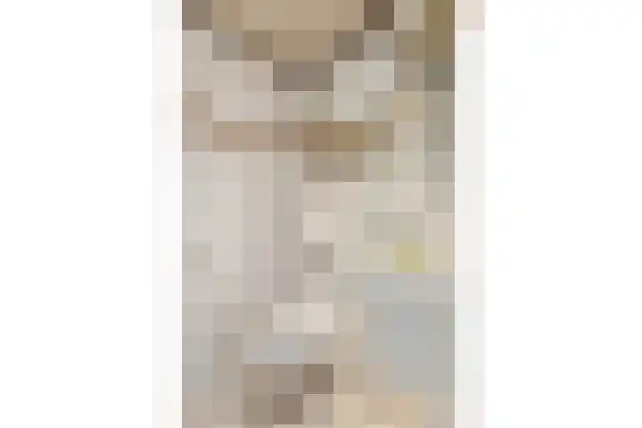 Ringvaartlaan 1 Nieuwerkerk aan den IJssel thumbnail 22