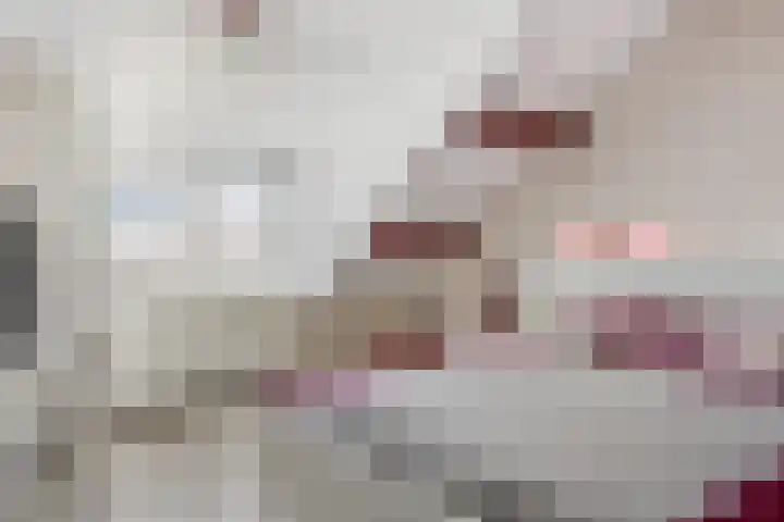 Ringvaartlaan 1 Nieuwerkerk aan den IJssel thumbnail 24