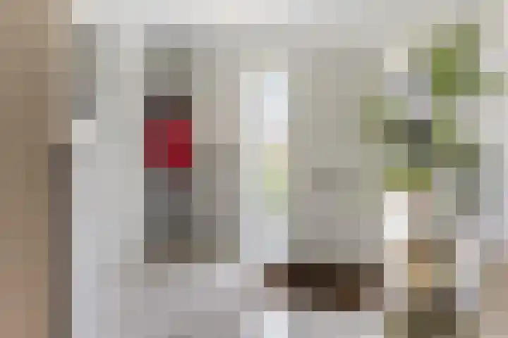 Ringvaartlaan 1 Nieuwerkerk aan den IJssel thumbnail 33