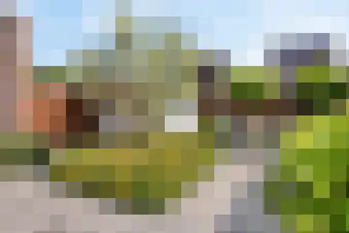 Ringvaartlaan 1 Nieuwerkerk aan den IJssel thumbnail 35