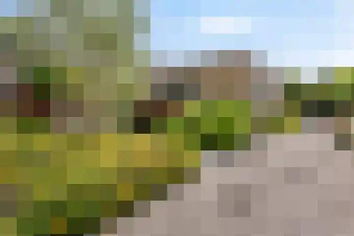Ringvaartlaan 1 Nieuwerkerk aan den IJssel thumbnail 38
