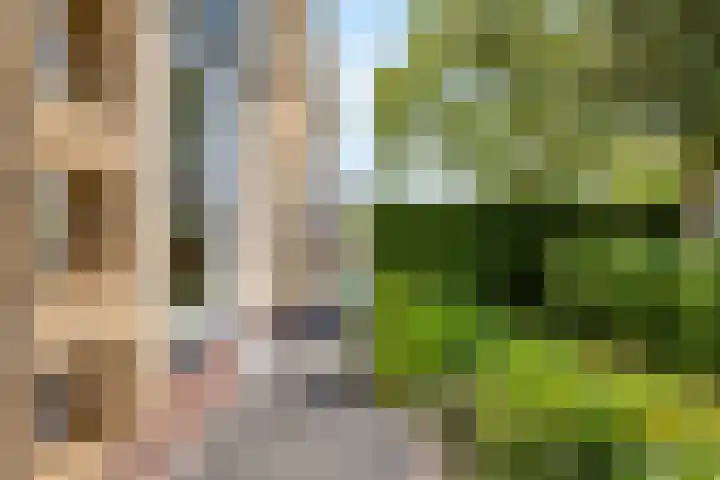 Ringvaartlaan 1 Nieuwerkerk aan den IJssel thumbnail 40