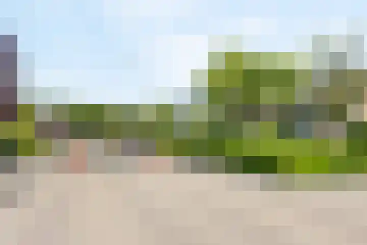 Ringvaartlaan 1 Nieuwerkerk aan den IJssel thumbnail 45