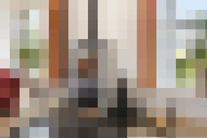 Ringvaartlaan 1 Nieuwerkerk aan den IJssel thumbnail 7