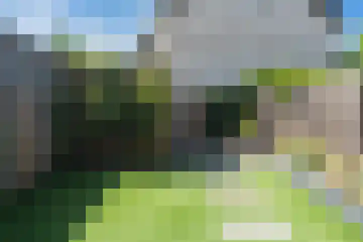 Ringvaartlaan 13 Hillegom thumbnail 20