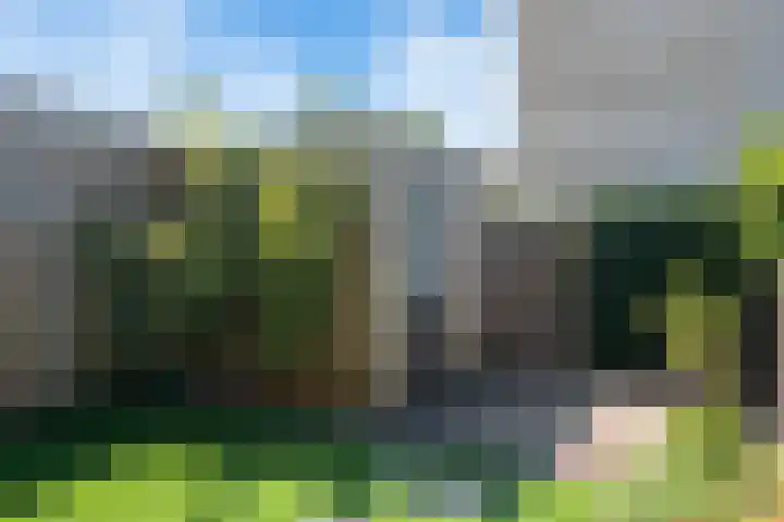 Ringvaartlaan 13 Hillegom thumbnail 22