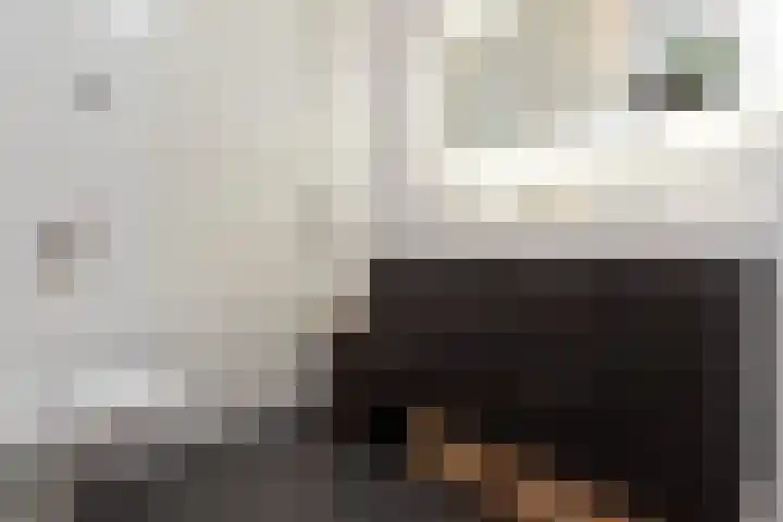 Ringvaartlaan 13 Hillegom thumbnail 31