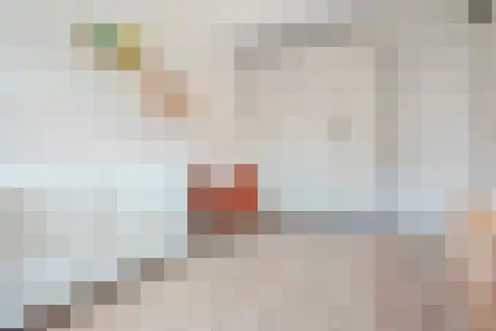 Ringvaartlaan 13 Hillegom thumbnail 37